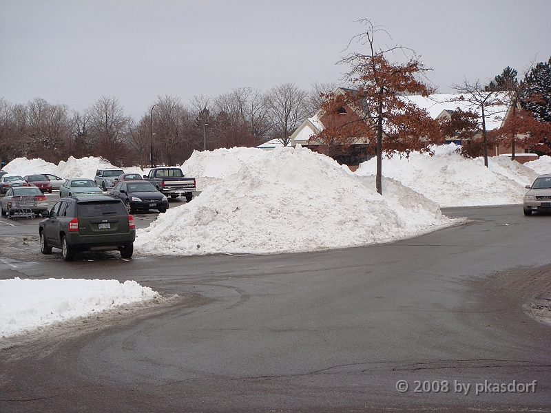 002 A2 Snowfall & Trees [2008 Dec 20].JPG - Digging out after a big snowfall in Ann Arbor, Michigan.